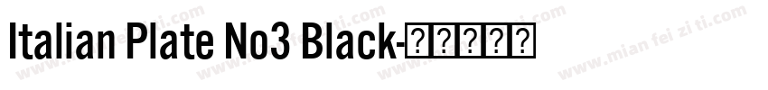Italian Plate No3 Black字体转换